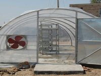 Solar Tunnel Dryers-2